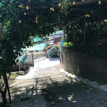 Il Limoneto Di Teresa Amalfi Coast Daire Maiori