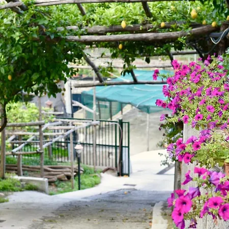 Daire Il Limoneto Di Teresa Amalfi Coast