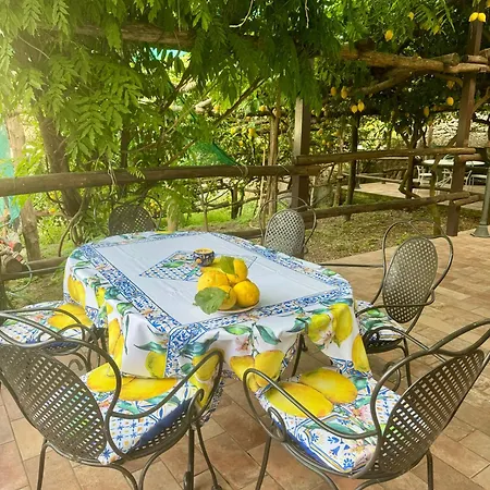 Il Limoneto Di Teresa Amalfi Coast