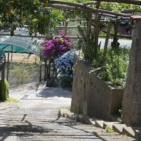 Lejlighed Il Limoneto Di Teresa Amalfi Coast Maiori