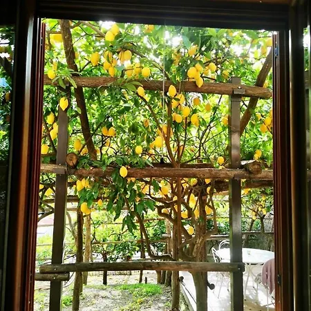 Il Limoneto Di Teresa Amalfi Coast Apartment